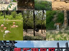 -杭州野生动物世界