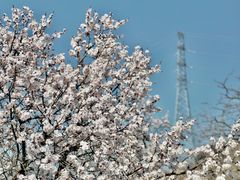 -北京凤凰岭