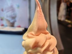 -鸽舞笙平金牌烧鸽子·融合菜(鲁谷店)