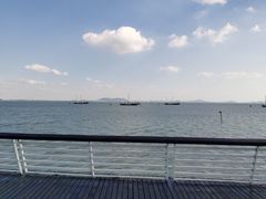 -贡湖湾湿地公园