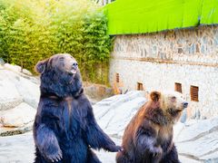 -云南野生动物园