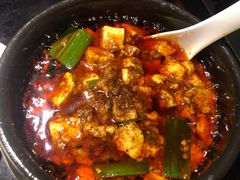 -陈麻婆豆腐总店