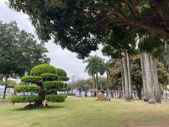 -石炮台公园