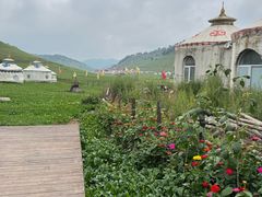 -关山牧场王师烤全羊