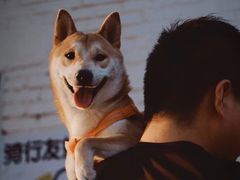 -小意思咖啡店(草桥店)