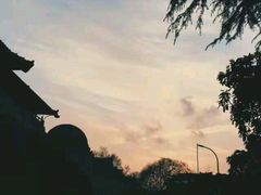 -武汉大学-樱园