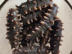 -棒棰岛辽参(长宁旗舰店)