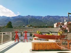 -喵屿·大理花园猫咖