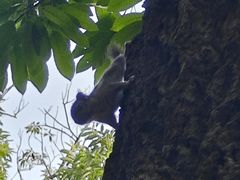 -天津盘山风景名胜区