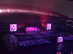 -南京奥林匹克体育中心-体育馆