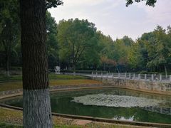 -后襄河公园