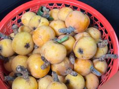 -美味之家·湖景农家乐(太湖东山店)