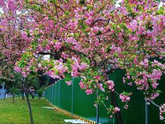 -四川大学(望江校区)