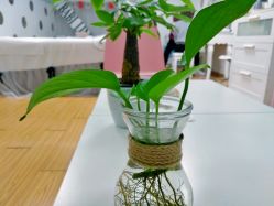 -babiline芭比莱恩半永久纹眉纹唇发际线
