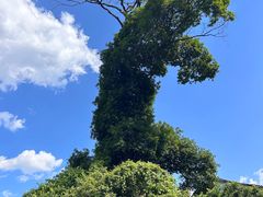 -寨沙侗寨(侗族歌堂)
