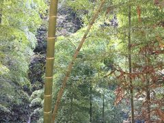 -藏龙百瀑风景区