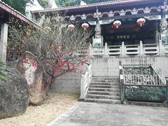 -青芝山风景名胜区