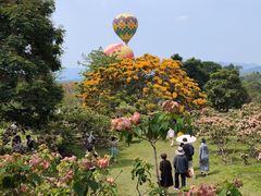 -中国科学院西双版纳热带植物园