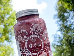 -野萃山·潮汕厚果汁(十亩地店)