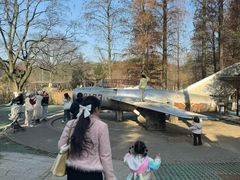 -青龙山国家森林公园