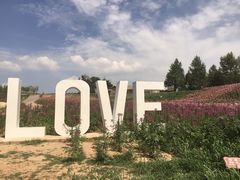 -北纬44度·金珠花海休闲农业旅游景区