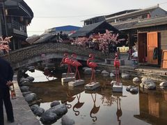 -茯茶镇