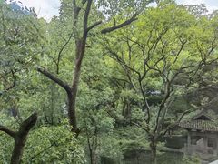 -杭州花家山庄