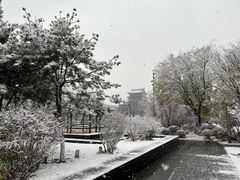 -Apple零售店(中街大悦城店)