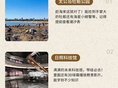-日照海滨国家森林公园