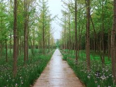 -柳鹭田园区