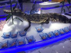 -澜悦港海鲜体验主题餐厅