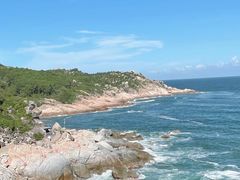 -广东惠东海龟国家级自然保护区