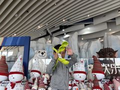 -湘江欢乐城欢乐雪域