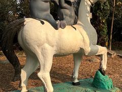 -瑞丽独树成林风景区