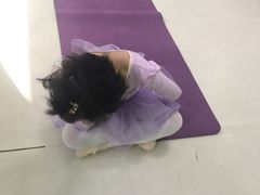 -舞蕾舞蹈(特长生校区)