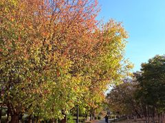 -长春世界雕塑园冰雪艺术天地