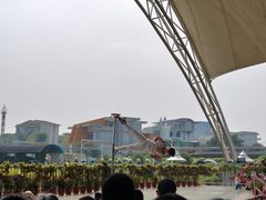 -百万葵园