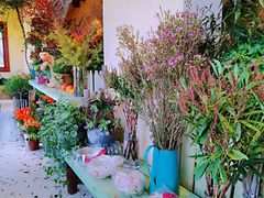 -萤火虫咖啡(后海店)