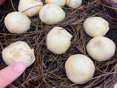 -佬钱湾仔(衣裳街店)