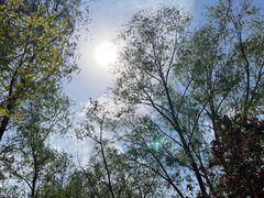 -长白岛森林公园