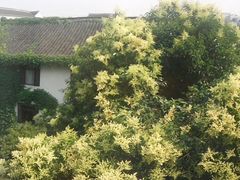android_upload_pic-全季酒店（苏州观前街平江路店）(原临顿路地铁站店)