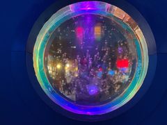 -太平洋海底世界