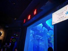 -太平洋海底世界