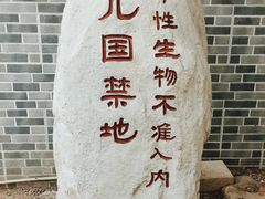 -中影国际影城(小西天CINITY店)