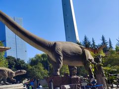 -陕西自然博物馆