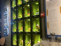 -野·大山里野生菌石锅土鸡(益田假日店)