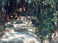 -小南山公园