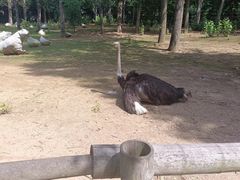 -大连森林动物园