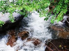 -小五台金河景区