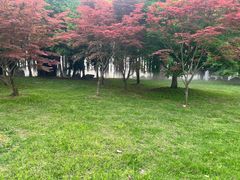 -东湖落雁景区